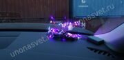 1-DSC02351