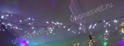 1-DSC02287-001