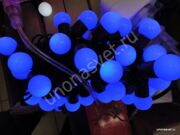 1-DSC00811