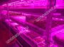 agro-application_10x490